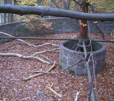 Kläranlage Altenhof (Schorfheide), Rückbau und Renaturierung